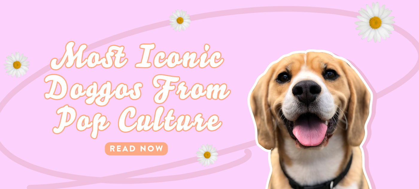 Most Iconic Doggos From Pop Culture