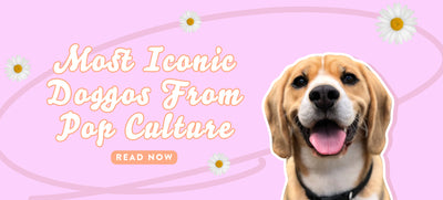 Most Iconic Doggos From Pop Culture