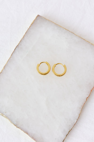 18K Gold Plated No Doubt Earrings