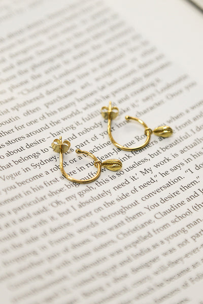 JOLIE & DEEN Cowrie Earrings Gold